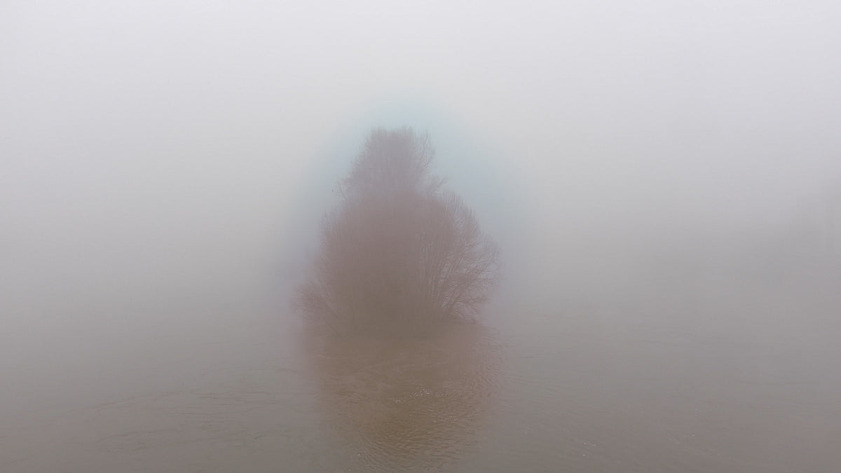 Brume