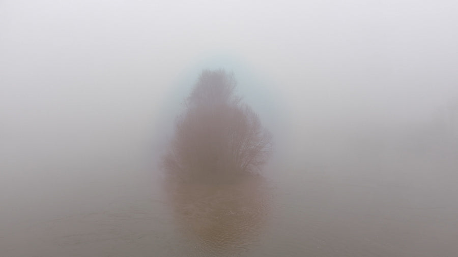 Brume