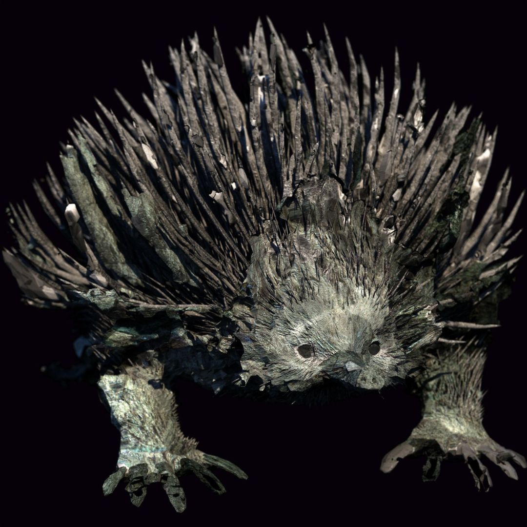 Echidna