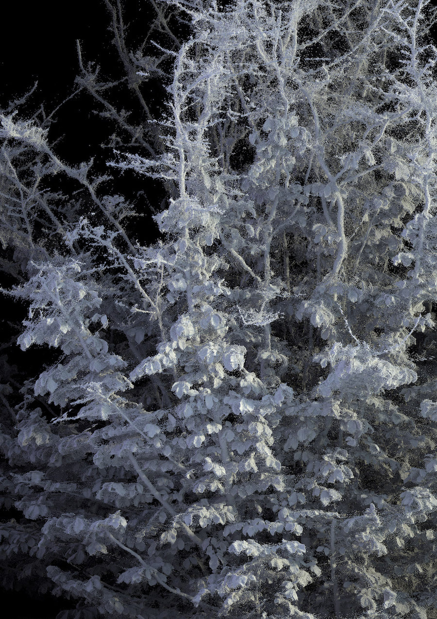 Remains #L2_001_001 10K