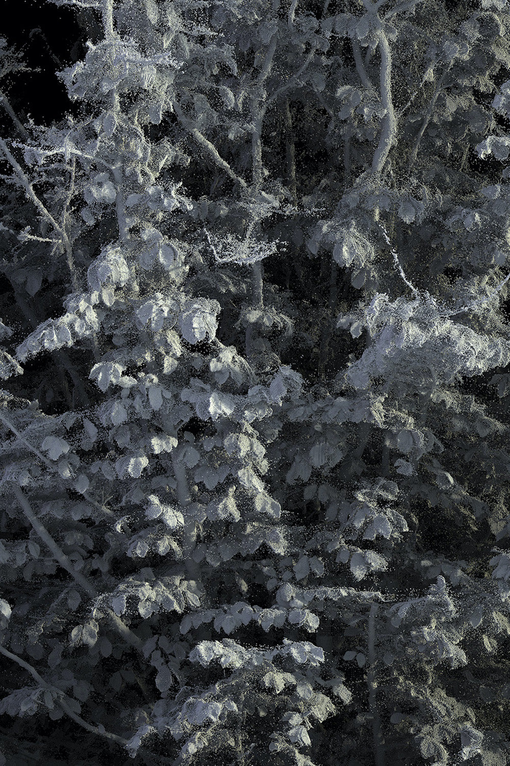 Remains #L2_001__102