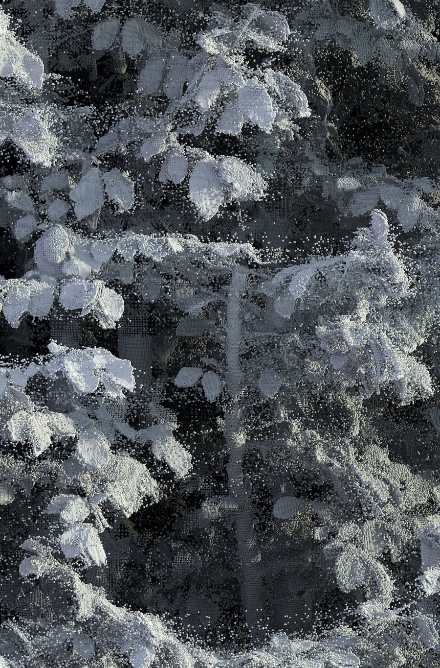 Remains #L1_004__101
