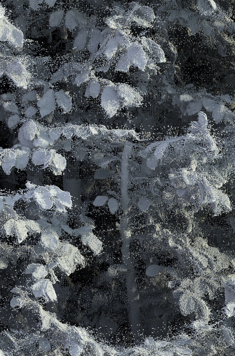 Remains #L1_004_004