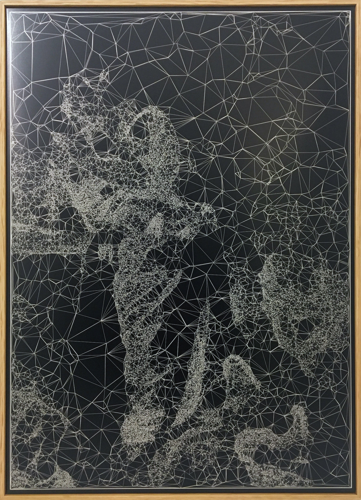 Iconographies #29