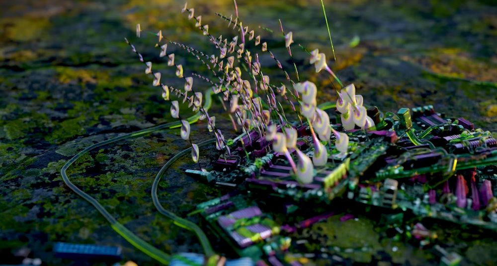 Inflorescences IV