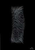 Vector Forces 11, 2025